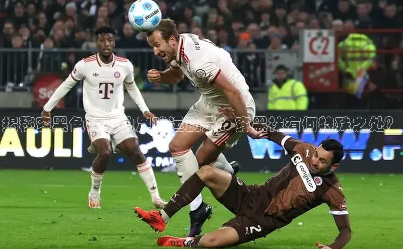 zoty中欧体育官方网站百度健康