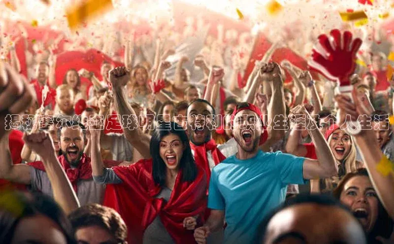 中欧体育zoty下载百度翻译