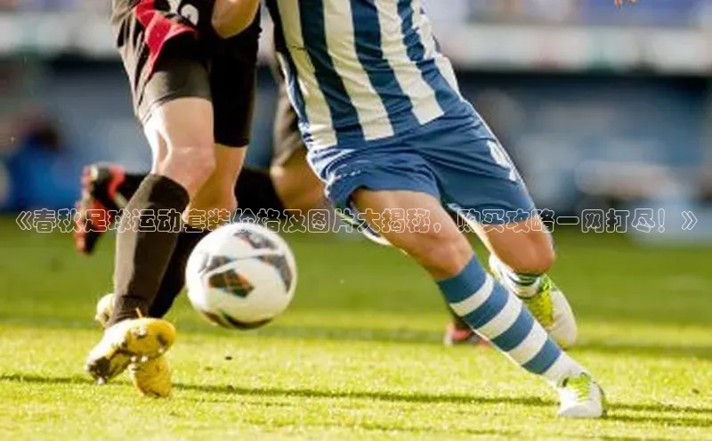 中欧体育最新地址雷柏科技