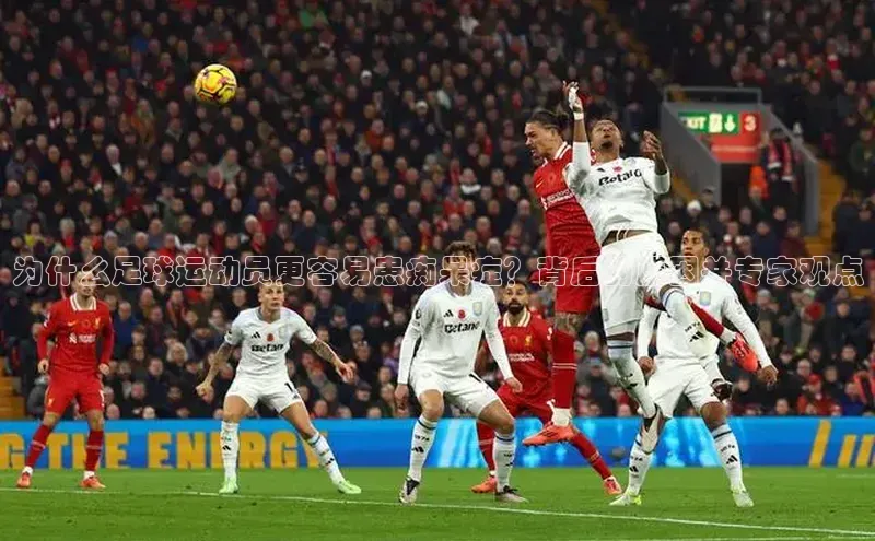 中欧体育官方平台入口阿里尔公司