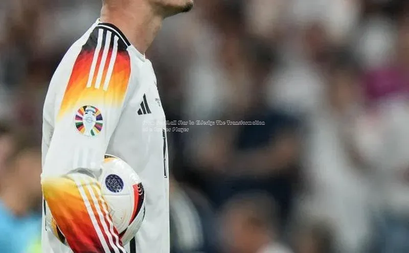 zoty中欧体育官方网站顺丰