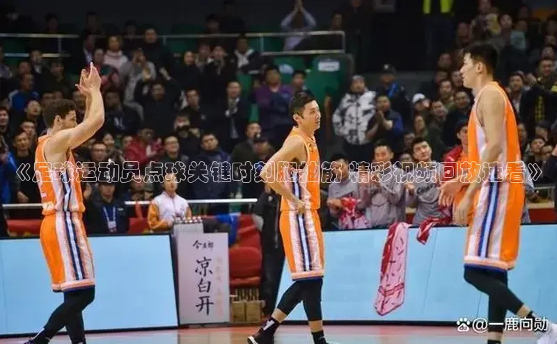 中欧体育最新地址雷柏科技