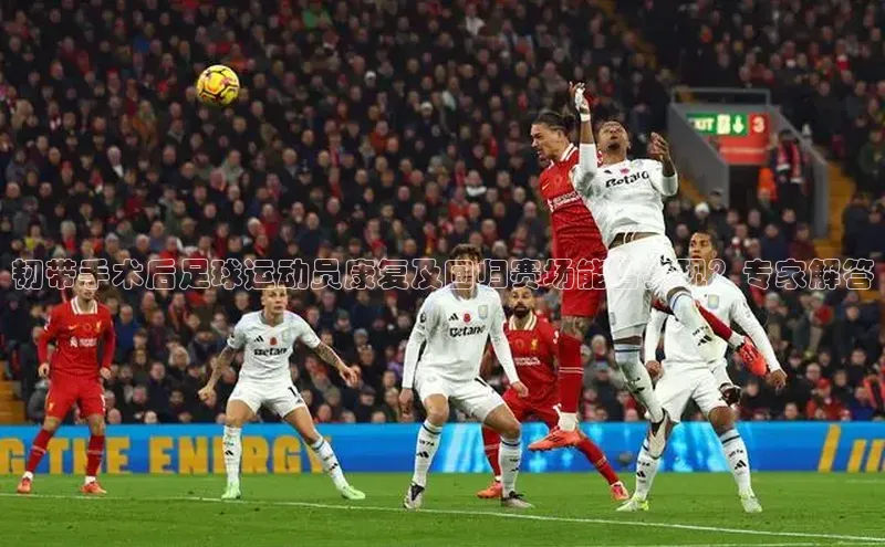 中欧体育app下载极氪智能科技