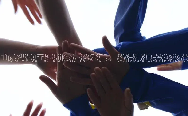 中欧体育集团每日互动