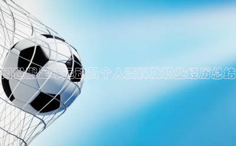 中欧体育zoty下载天键股份