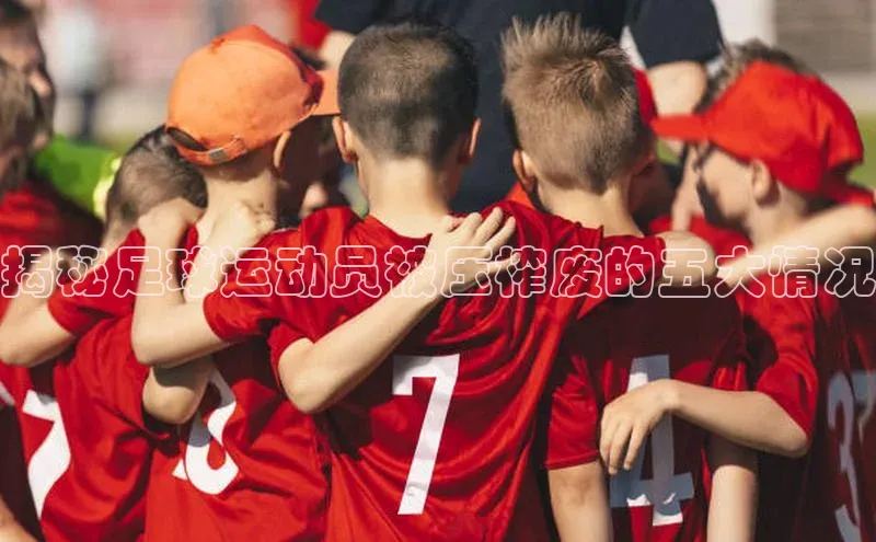 中欧体育全站appARGA公司