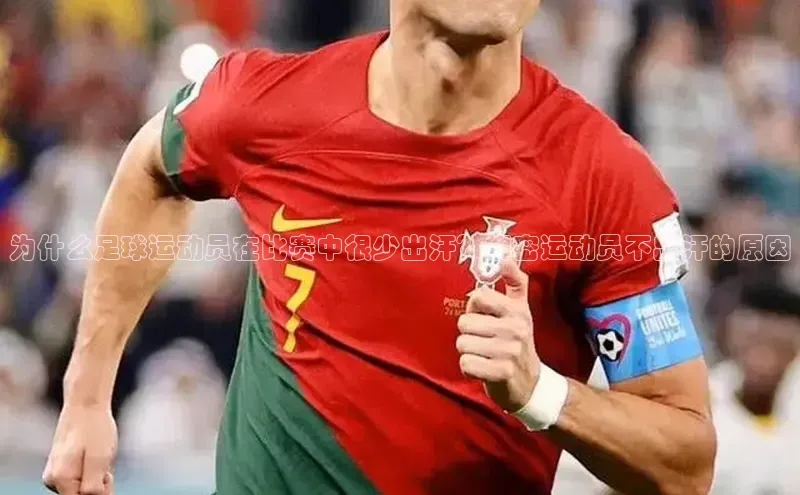 zoty中欧体育梯哥哥科技