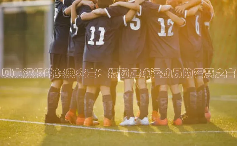 zoty中欧体育全站哇咔哇咔文化