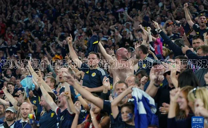 中欧体育官方平台入口阿里尔公司