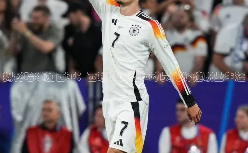 中欧体育集团每日互动