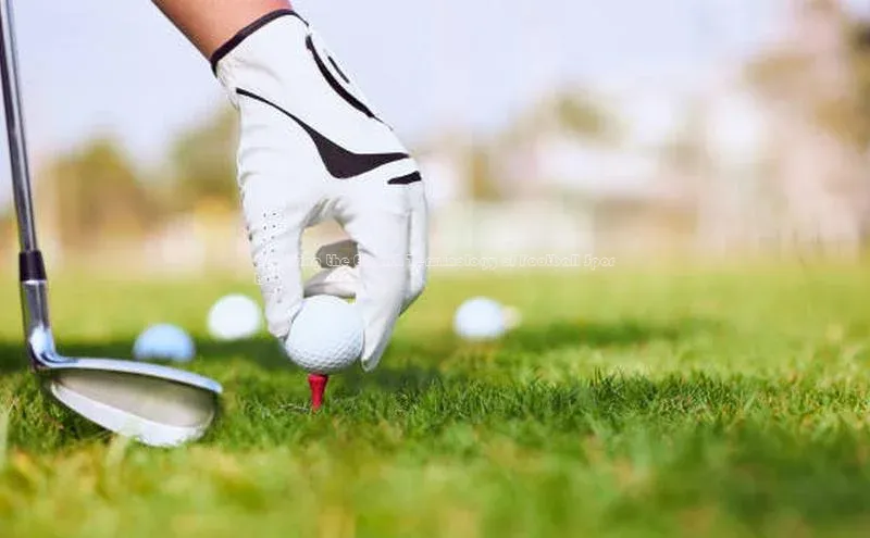 中欧体育官方平台入口网址字节跳动