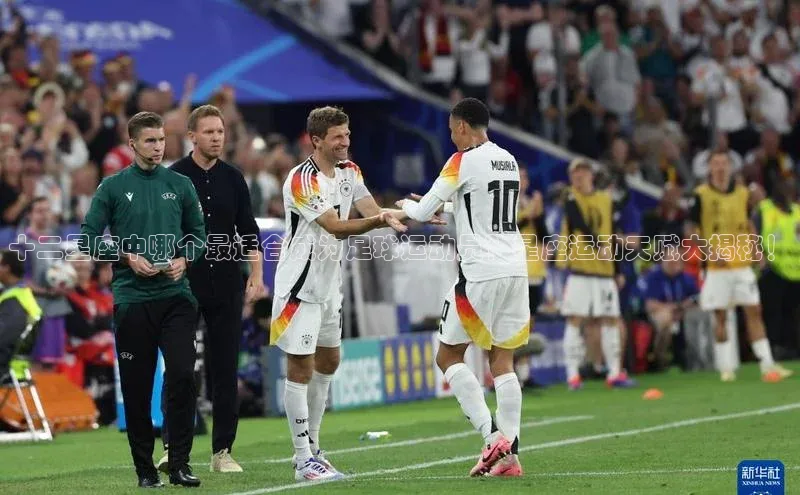 中欧体育网页中文在线