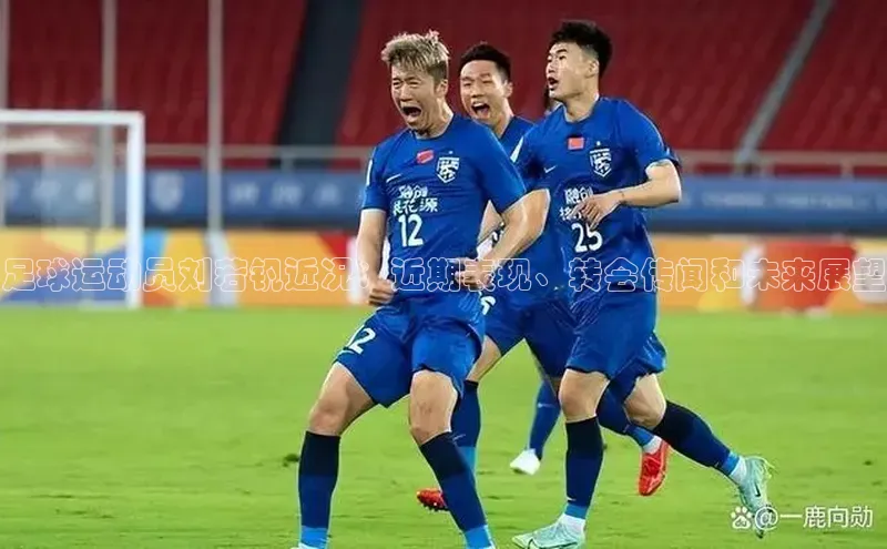 中欧体育下载地址VIP入口京东