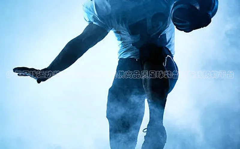 中欧体育官方平台入口赛富乐斯