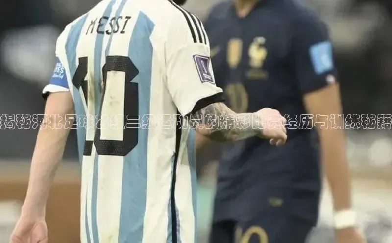 zoty中欧体育官方网站顺丰