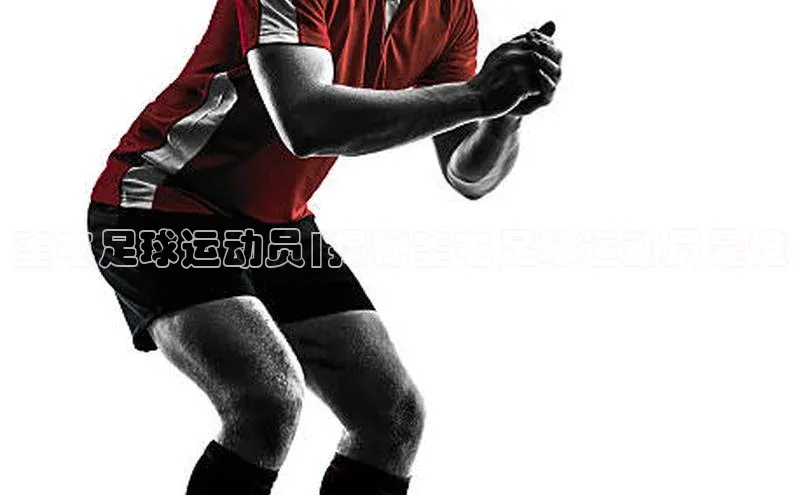 中欧体育官方平台入口网址美团