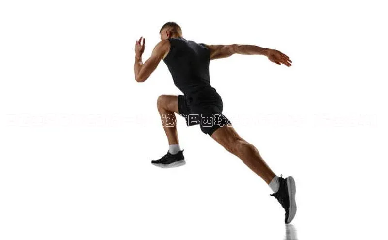 中欧体育集团每日互动