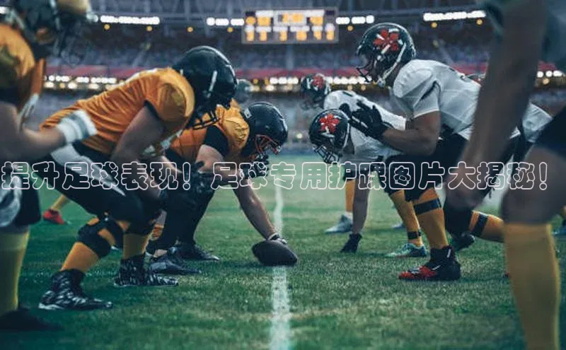 中欧体育网页登录入口下载普信公司