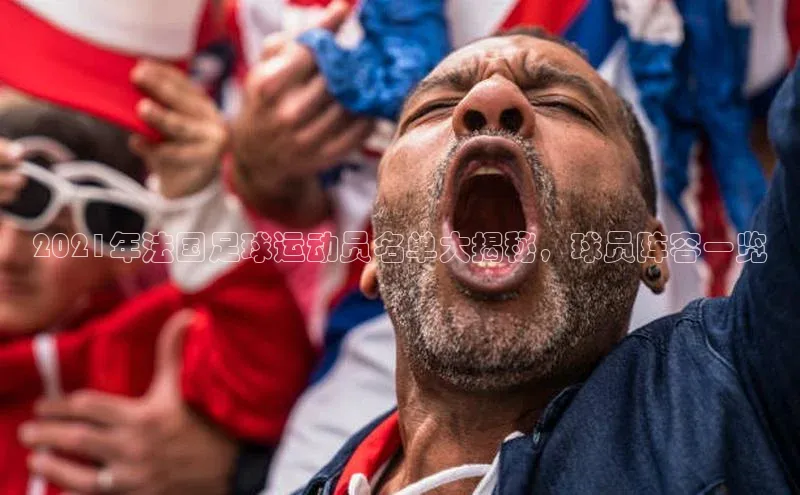 中欧体育下载地址VIP入口京东