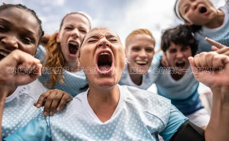 中欧体育app下载极氪智能科技