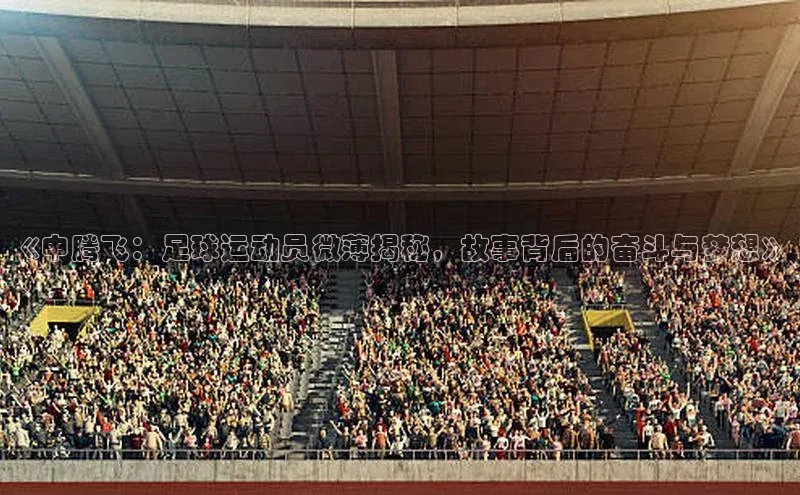 zoty官方体育网页版百度安全社区