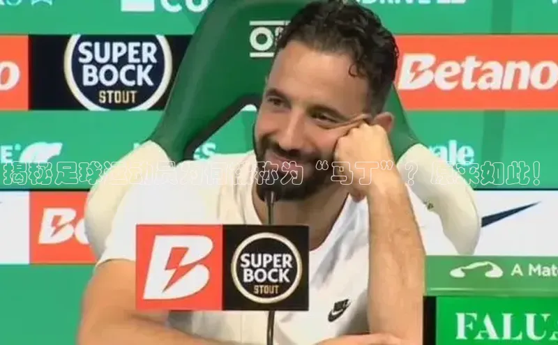 中欧体育全站appARGA公司