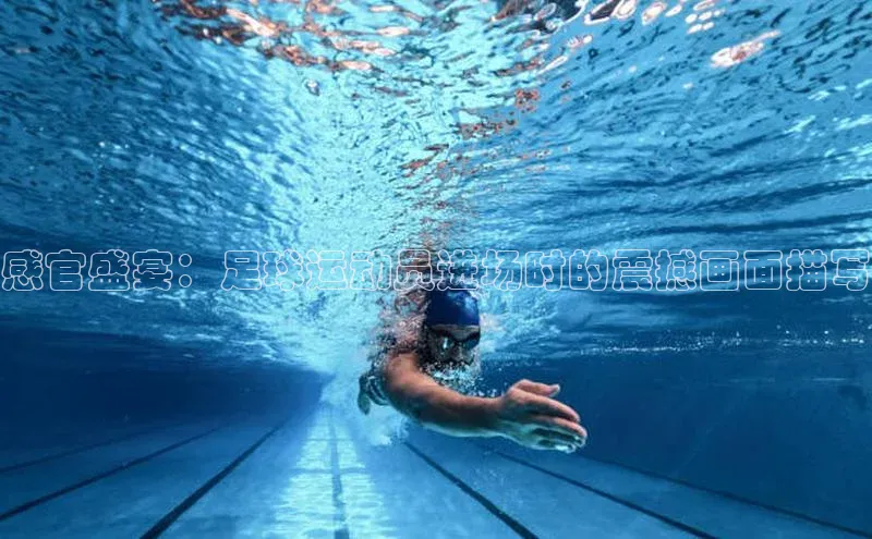 zoty28中欧体育网址颐驰 06