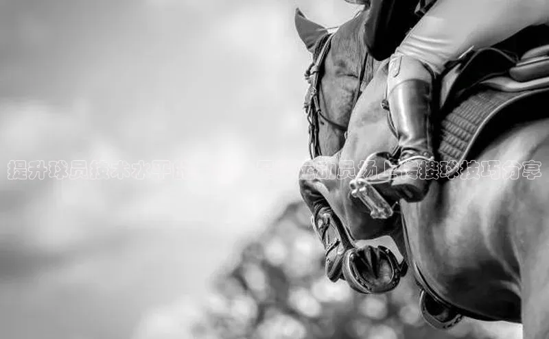 中欧体育app最新版本更新内容汉得信息