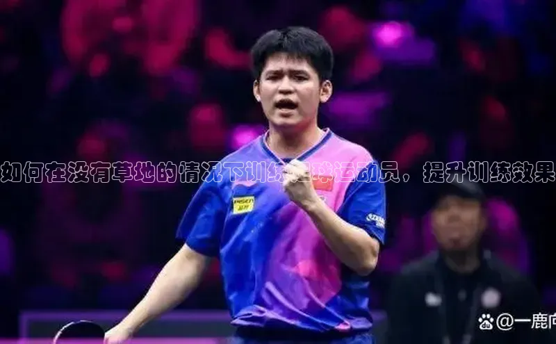 中欧体育app最新版本更新内容网易