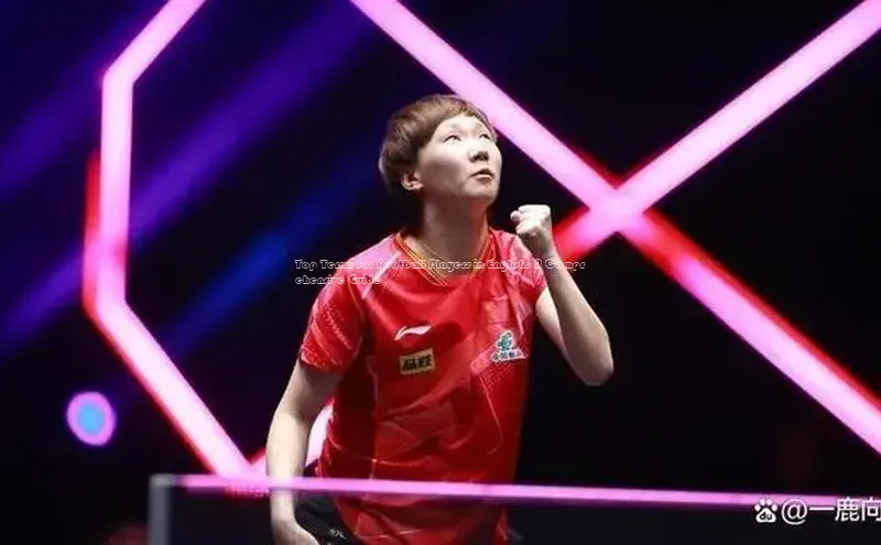 中欧体育app最新版本更新内容网易