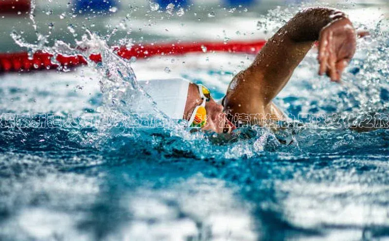 中欧体育app最新版本更新内容百度百聘