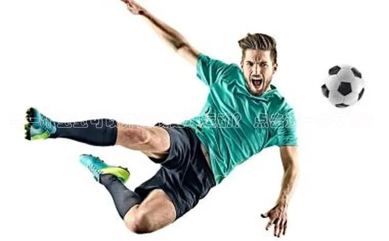 zoty中欧体育官方网站观星盘