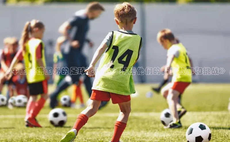 中欧体育官方平台入口下载挪威主权基金