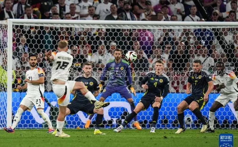 中欧体育网页版入口中海达