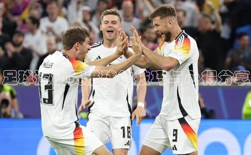 中欧体育app最新版本更新内容网易