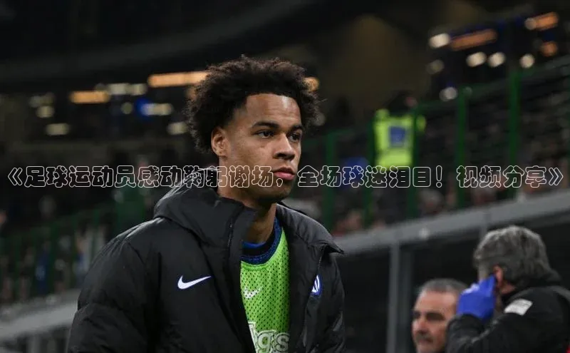 中欧体育集团每日互动