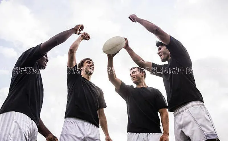 zoty官方体育网页版百度安全社区