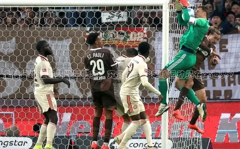 zoty中欧体育全站哇咔哇咔文化