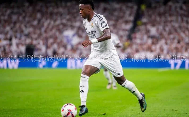 中欧体育app官方网站华策影视