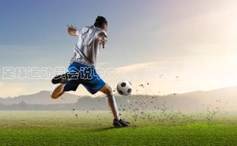 中欧体育官方平台入口下载小度商城