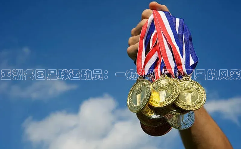 中欧体育网页中文在线