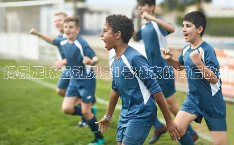 中欧体育官方平台入口阿里尔公司