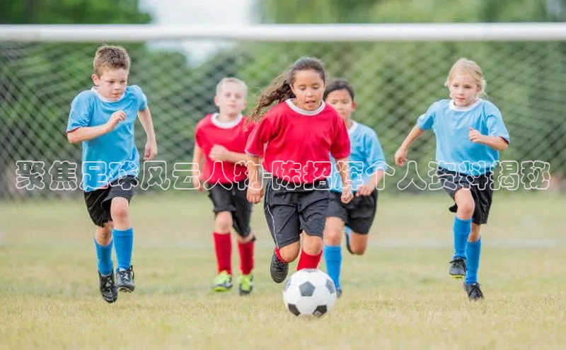 中欧体育app下载安装巴美列捷福