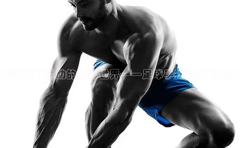 中欧体育网页登录入口下载普信公司