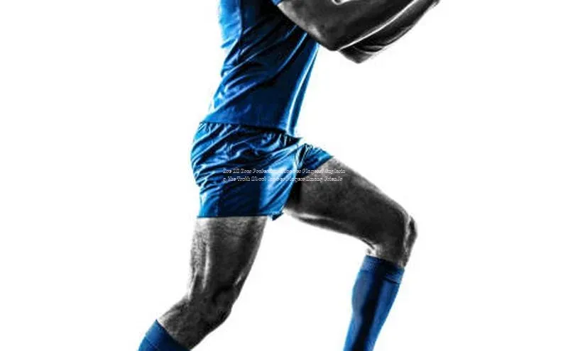 zoty中欧体育官方网站顺丰