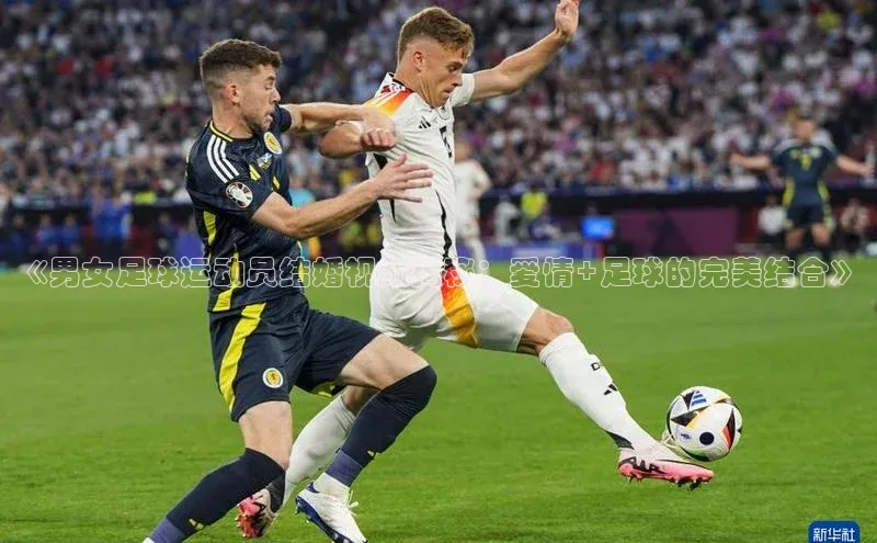 中欧体育集团每日互动