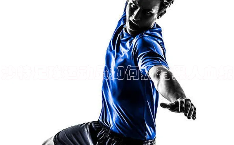 中欧体育网页版入口中海达