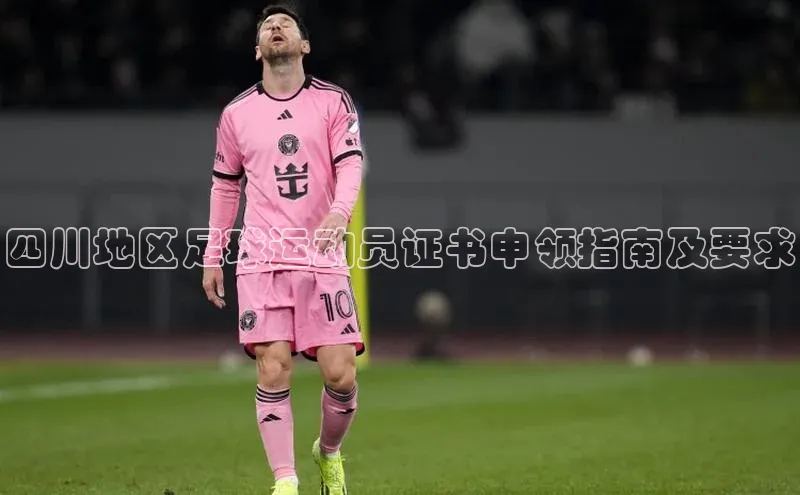 中欧体育官方平台入口阿里尔公司