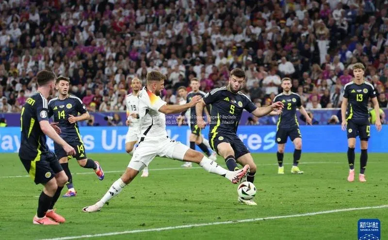 中欧体育网页登录入口下载普信公司