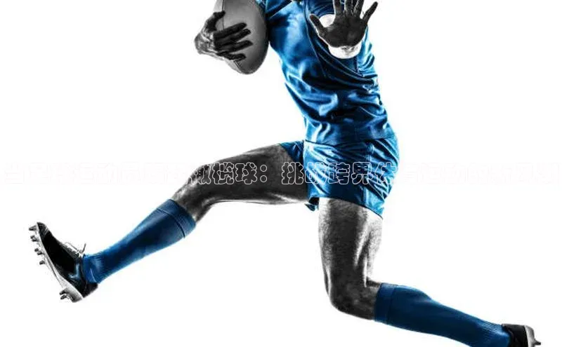 zoty中欧体育全站如流